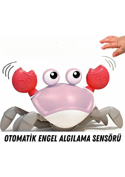 Oyuncak Emeklemeye Yardımcı 3 Kademeli Hız Kapatıp Açılabilen Müzikli Sensörlü Dahili Şarjlı Yengeç Yatay Hareketli modelleri