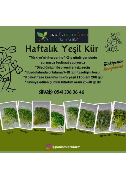 Haftalık Mikro Yeşil Kür 200 gr
