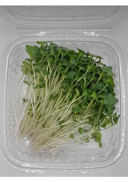 Haftalık Mikro Yeşil Kür 200 gr fırsatları