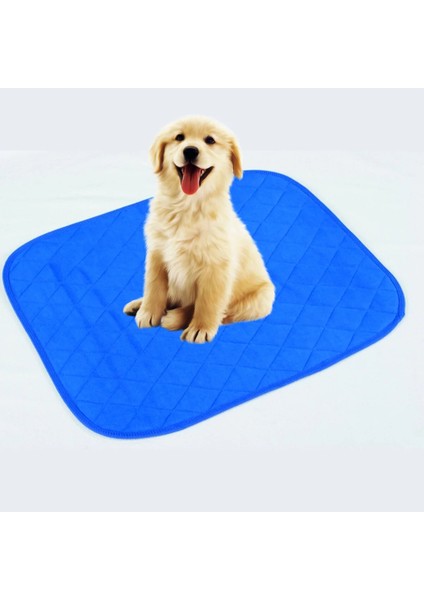 75X85 cm Yıkanabilir Emici Kedi Köpek Çiş Pedi Mavi modelleri