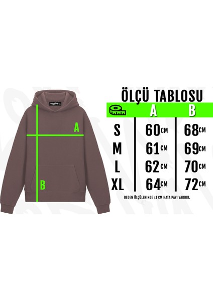 Einstein V2 Tasarım Baskılı Kapüşonlu Sweatshirt fiyatları