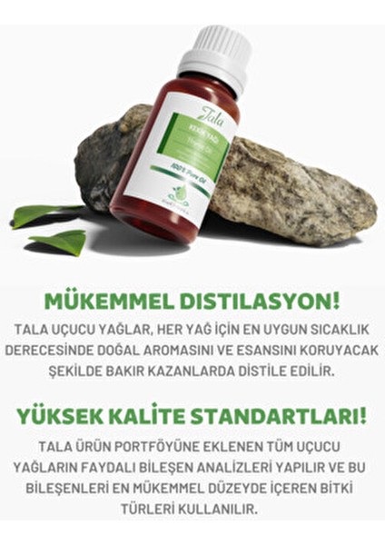 Kekik Yağı Doğal Uçucu Yağ Yaşlanma Karşıtı Etki 10 ml Vegan ve Paraben İçermez fırsatları