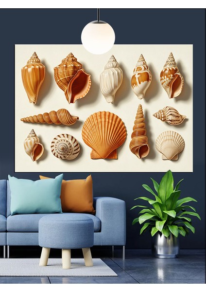 Deniz Kabukları Çeşitli Koleksiyon Dekoratif Kanvas - Mdf Ahşap Tablo fiyatları