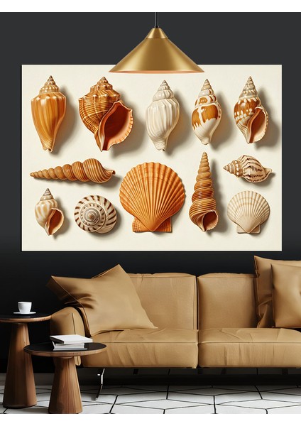Deniz Kabukları Çeşitli Koleksiyon Dekoratif Kanvas - Mdf Ahşap Tablo modelleri