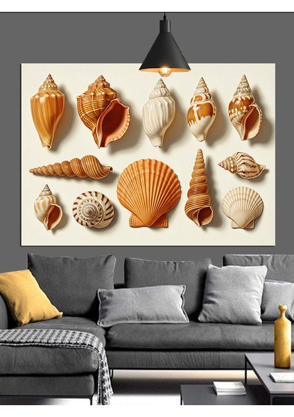 Deniz Kabukları Çeşitli Koleksiyon Dekoratif Kanvas - Mdf Ahşap Tablo fırsatları