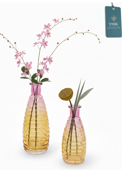 Svea | 2 'li Minimalist Dekor Çok Renkli Cam Vazo fiyatları