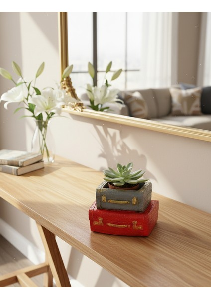 Vintage Çift Bavul Saksı- Masaüstü Düzenleyici- Dekoratif Bavul Saksı Kırmızı-Gri 12*8