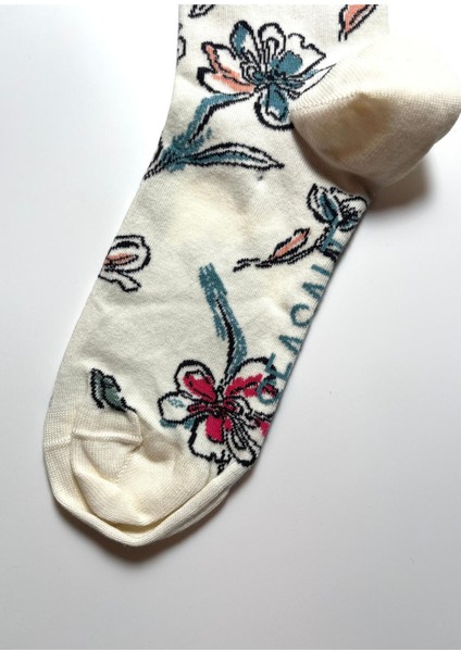 Dikişsiz Desenli Pamuklu Penye Kadın Çorap fiyatları