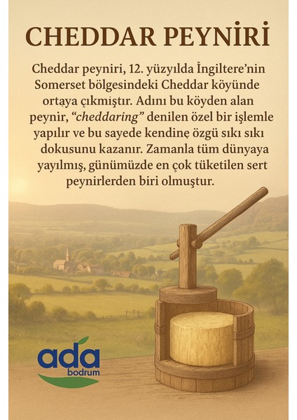 Cheddar Peynir 1000 gr fırsatları