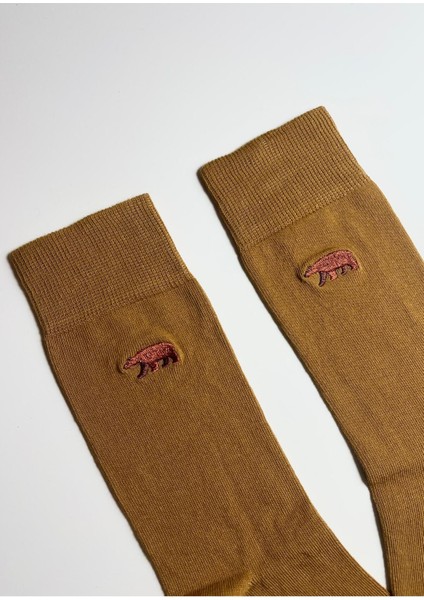 Boz Ayı Nakışlı Unisex Pamuklu Çorap fiyatları