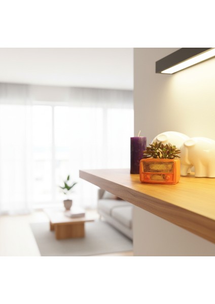 Retro Radyo Sukulent Saksısı ve Kalemlik - Masaüstü Dekoratif Organizer Turuncu 12*8