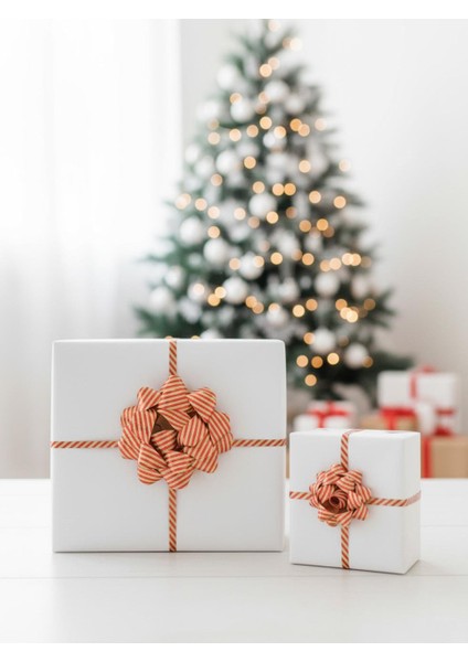 Hediye Paketleme Seti Kağıt Fiyonk ve Kurdele Kırmızı-Kraft Çizgili 3'lü