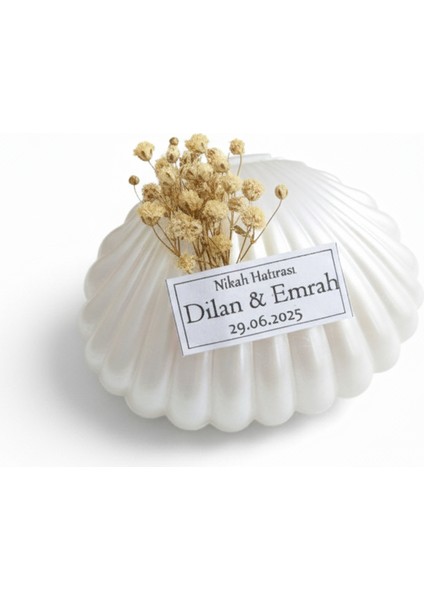 20 Adet Midye Kabuğu İçerisinde 5 Adet Badem & Nikah Şekeri | Nikah, Söz, Nişan ve Özel Günler