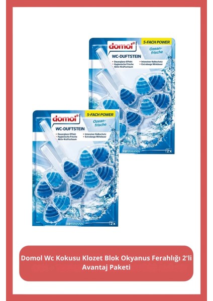 Wc Kokusu Klozet Blok Okyanus Ferahlığı 110 gr 2'li Avantaj Paket
