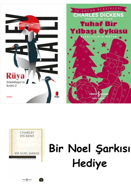 Schrödinger’in Kedisi 2 - Rüya + Tuhaf Bir Yılbaşı Öyküsü + Bir Noel Şarkısı