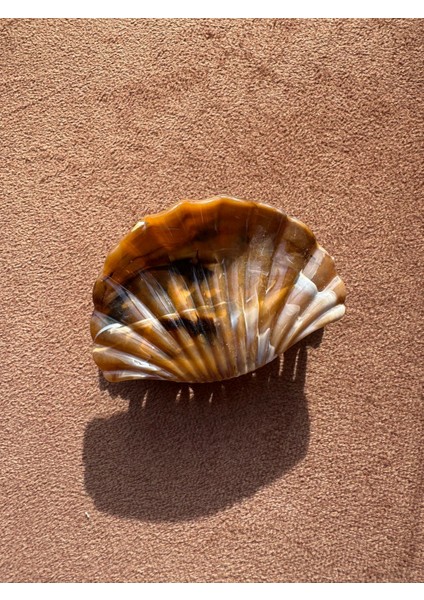 Istiridye Kemik Toka