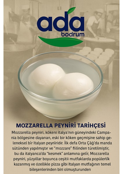 Suda Top Mozerella 250 gr modelleri