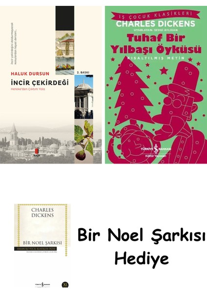 Incir Çekirdeği + Tuhaf Bir Yılbaşı Öyküsü + Bir Noel Şarkısı