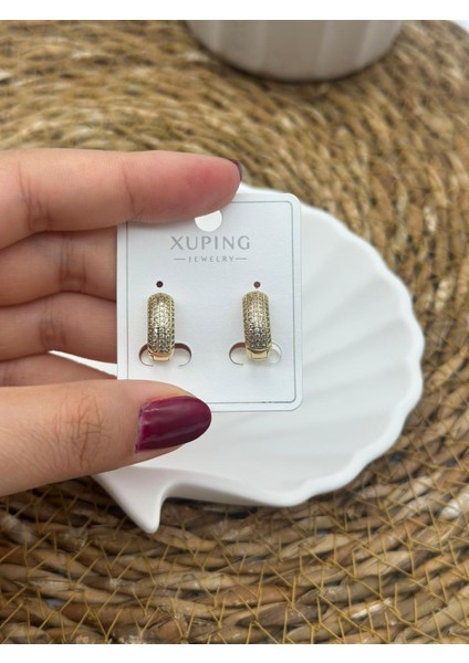 Zirkon Taşlı Lüks Çelik Küpe fiyatları