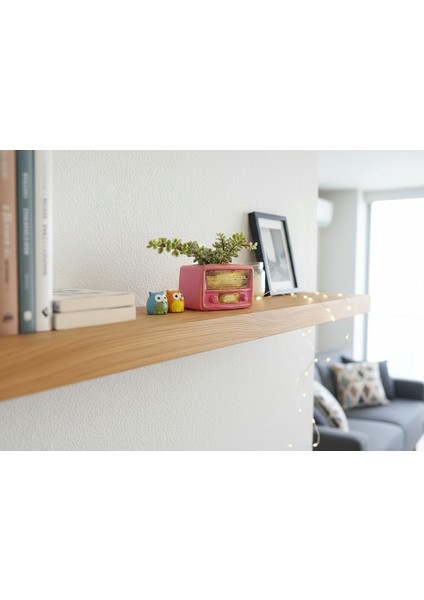 Retro Radyo Sukulent Saksısı ve Kalemlik - Masaüstü Dekoratif Organizer Pembe 12*8