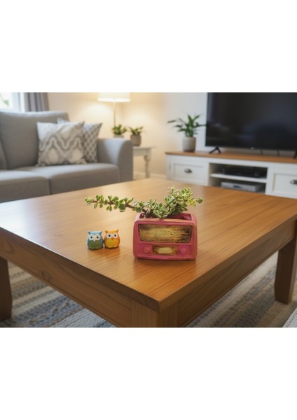 Retro Radyo Sukulent Saksısı ve Kalemlik - Masaüstü Dekoratif Organizer Pembe 12*8 fiyatları