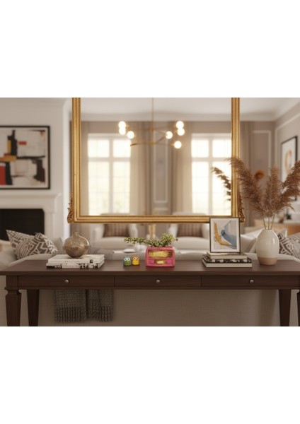 Retro Radyo Sukulent Saksısı ve Kalemlik - Masaüstü Dekoratif Organizer Pembe 12*8 modelleri