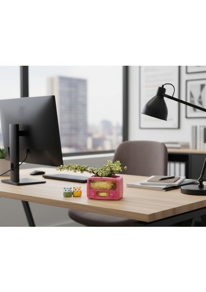 Retro Radyo Sukulent Saksısı ve Kalemlik - Masaüstü Dekoratif Organizer Pembe 12*8 fırsatları