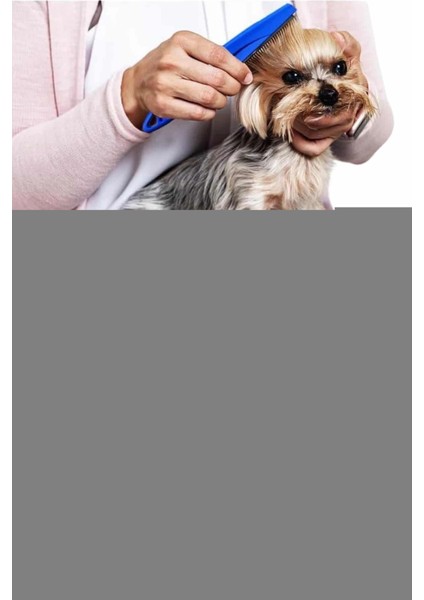 Evcil Hayvan Bit Tarağı Seti Paslanmaz Çelik Bıçaklı 4'lü Set fiyatları