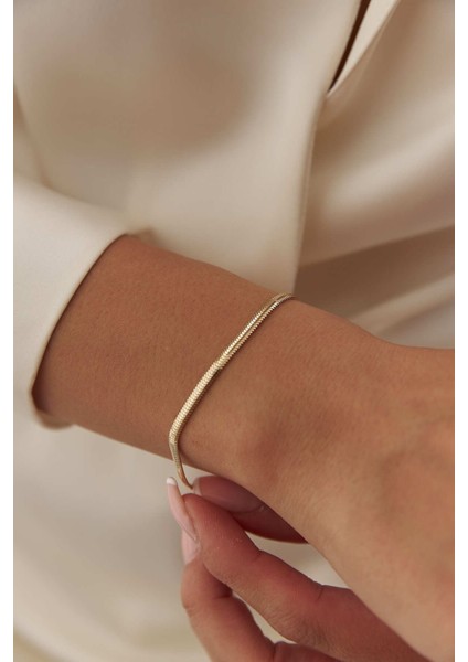 14 Ayar Altın Balık Sırtı Bileklik indirimleri