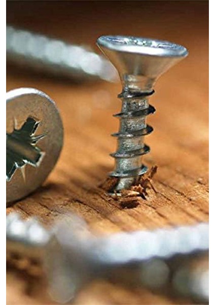 Meridyen 4X50 Sunta Vidası Sivri Uçlu Ahşap Tahta Ağaç Mobilya Ayak Kulp Vidası 25 Adet