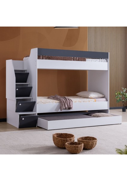 Ranza, Martin Yavrulu Ranza - Antrasit