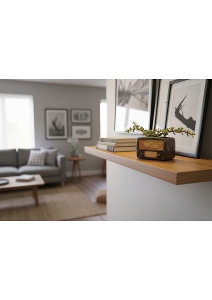 Retro Radyo Sukulent Saksısı ve Kalemlik - Masaüstü Dekoratif Organizer Kahverengi 12*8