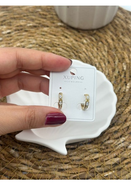 316L Çelik Mini Gold Halka Küpe modelleri