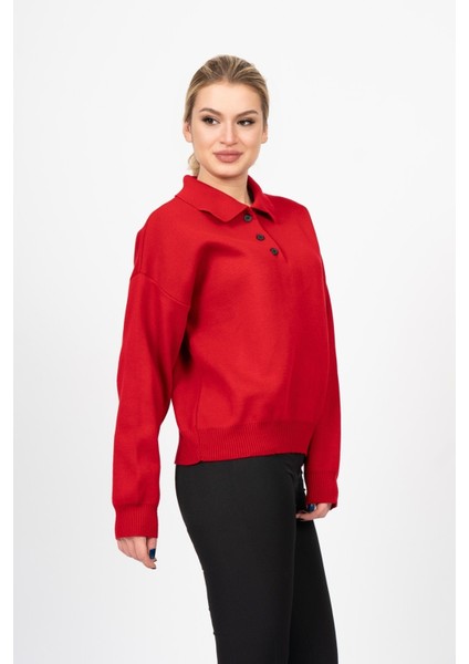 Dıana Polo Yaka Kazak 2002