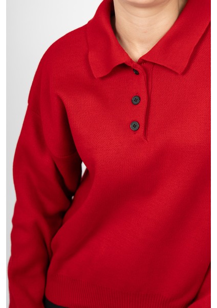 Dıana Polo Yaka Kazak 2002 modelleri