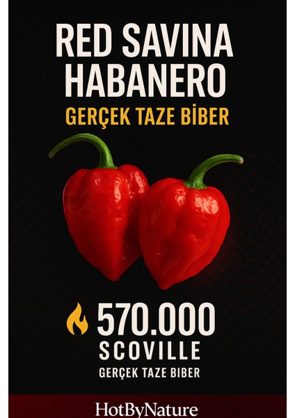 Red Savina Habanero Pepper 350.000 – 570.000 Scoville - Gerçek Taze Acı Biber