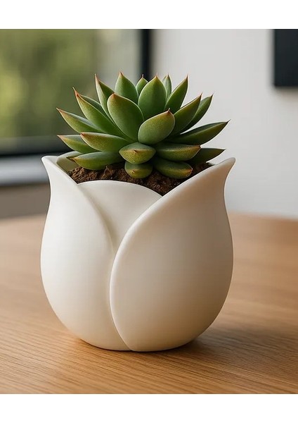 Modern Lale Saksısı – Ev Dekorasyonu Için Zarif Bir Saksı