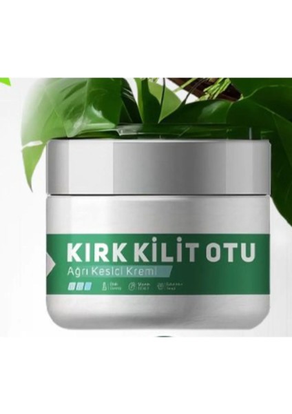Süper Kırkkilitotu Rahatlatıcı Masaj Bakım Kremi 100 ml x 1 Adet