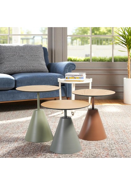 Üçlü Mantar Zigon Sehpa Seti NO:553 | Rehome Renkli Yuvarlak Mdf Modern Sehpa Takımı fırsatları