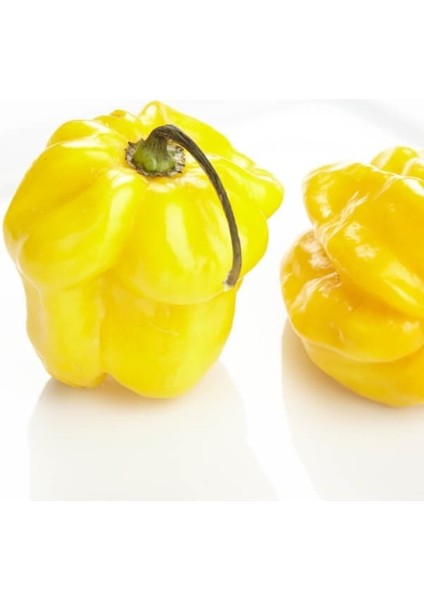 Hotbynature Habanero Lemon Pepper / 350.000 Scoville - Gerçek Taze Acı Biber fiyatları