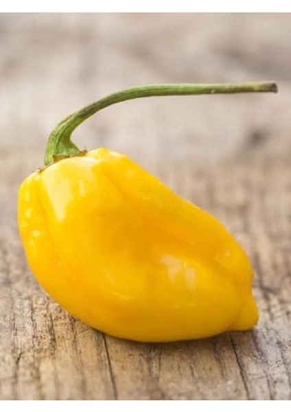 Hotbynature Habanero Lemon Pepper / 350.000 Scoville - Gerçek Taze Acı Biber modelleri