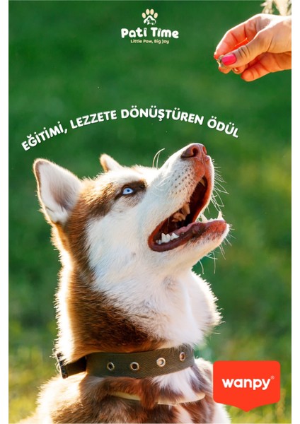 3lü Köpek Ödülü Seti - Dana Ciğeri, Somon Dilimleri ve Ördek Fileto Köpek Ödül Maması 100 gr modelleri