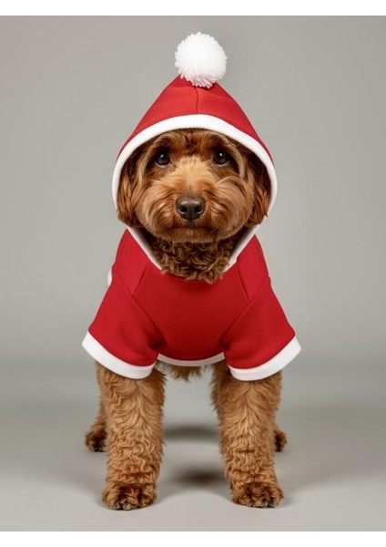 Santa's Bag Yılbaşı Köpek Kıyafeti Premium Kırmızı Polar | Kapüşonlu Noel Köpek Kostümü | Küçük Irklar Için fırsatları