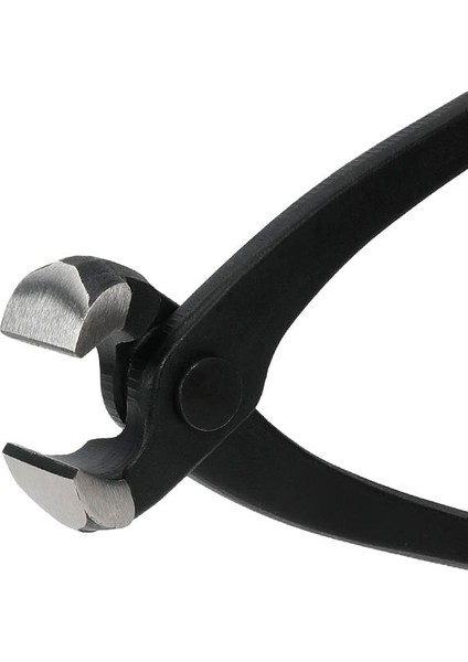 WP231123 250MM Cr-V Profesyonel Betoncu Kerpeteni modelleri