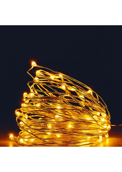 Yılbaşı LED Işık Pilli 5 mt 50 Li Günışığı (2505160)
