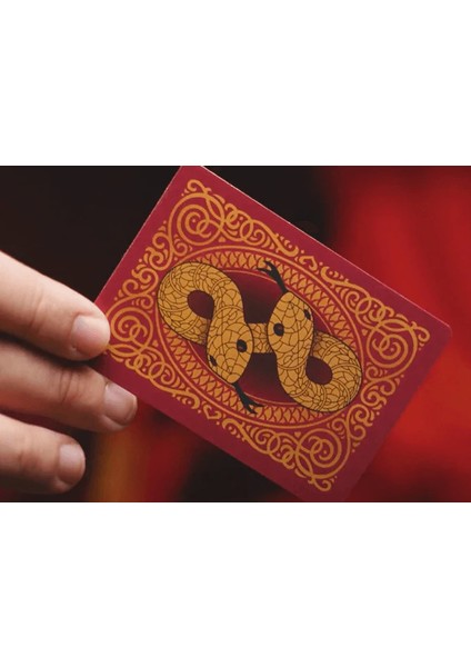 Snake Oyun Kartı fiyatları