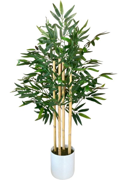 Beyaz Renkli Saksıda 100 cm 4 Gövde Yoğun Yaprak Yapay Bambu Ağacı modelleri