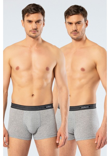 Erkek 2'li Boxer (Düz) 1318/GRİ