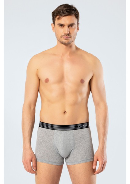 Erkek 2'li Boxer (Düz) 1318/GRİ modelleri