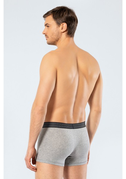 Erkek 2'li Boxer (Düz) 1318/GRİ fırsatları